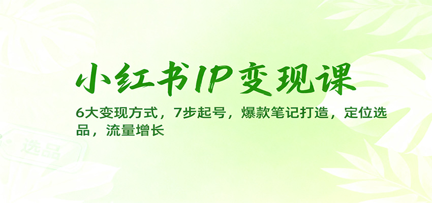 小红书IP变现课：6大变现方式，7步起号，爆款笔记打造，定位选品，流量增长-数码之翼