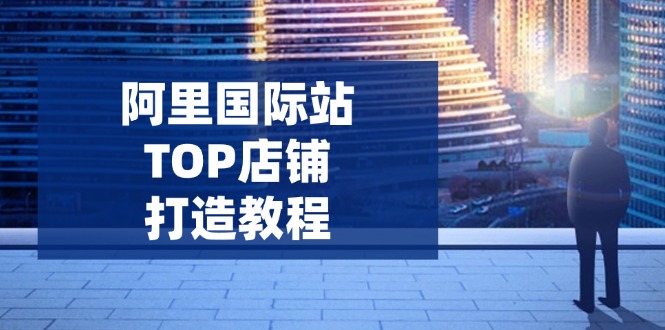 阿里国际站TOP店铺打造教程：涵盖平台到高阶，解决运营难题，提升询盘-数码之翼