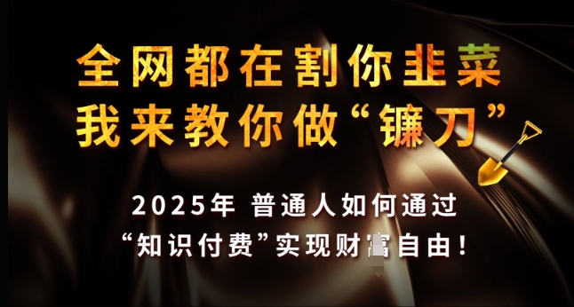 全网都在割你韭菜，我来教你做镰刀，2025年普通人如何通过 知识付费 实现财F自由【揭秘】-数码之翼