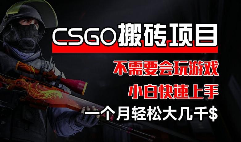 CSGO 装备搬砖项目，操作简单，不需要会玩游戏，小白也能快速上手，一个月轻松大几千【揭秘】-数码之翼