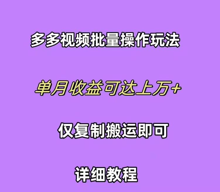 (10029期)拼多多视频带货快速过爆款选品教程 每天轻轻松松赚取三位数佣金 小白必...-数码之翼