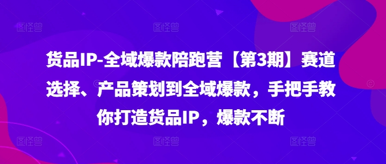 货品IP全域爆款陪跑营【第3期】赛道选择、产品策划到全域爆款，手把手教你打造货品IP，爆款不断-数码之翼
