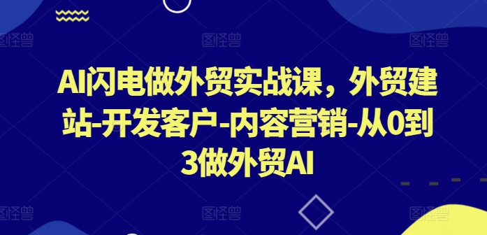 AI闪电做外贸实战课，​外贸建站-开发客户-内容营销-从0到3做外贸AI(更新)-数码之翼