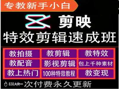 剪映特效教程和运营变现教程，特效剪辑速成班，专教新手小白-数码之翼