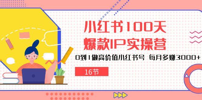 小红书100天-爆款IP实操营，0到1做高价值小红书号 每月多赚3000+(16节-数码之翼