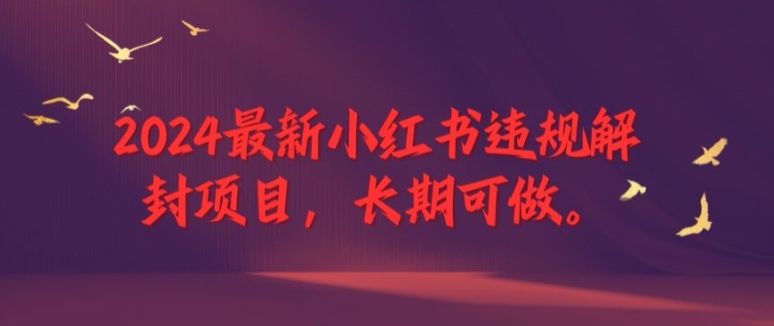 2024最新小红书违规解封项目，长期可做，一个可以做到退休的项目【揭秘】-数码之翼