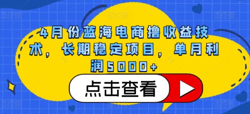 4月份蓝海电商撸收益技术,长期稳定项目,单月利润5000+【揭秘】-数码之翼