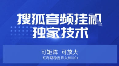 【搜狐音频挂G】独家技术，可矩阵可放大，红利期稳定月入8k【揭秘】-数码之翼