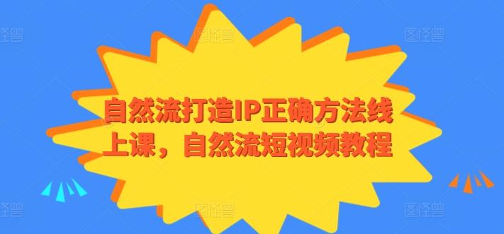 自然流打造IP正确方法线上课,自然流短视频教程-数码之翼