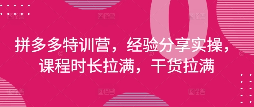 拼多多特训营，经验分享实操，课程时长拉满，干货拉满(更新25年4月)-数码之翼