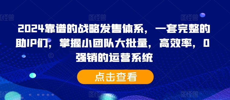 2024靠谱的战略发售体系，一套完整的助IP们，掌握小团队大批量，高效率，0 强销的运营系统-数码之翼