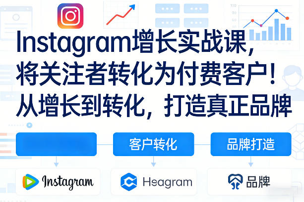 Instagram增长实战课，将关注者转化为付费客户！从增长到转化，打造真正品牌(双语字幕)-数码之翼