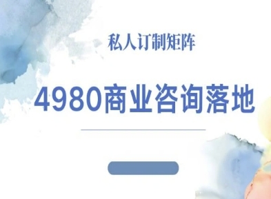 4980商业咨询师落地课程-ip运营高客单教程-数码之翼