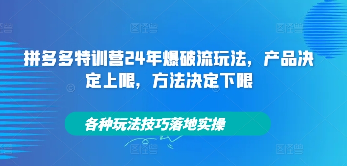 拼多多特训营24年爆破流玩法，产品决定上限，方法决定下限，各种玩法技巧落地实操-数码之翼