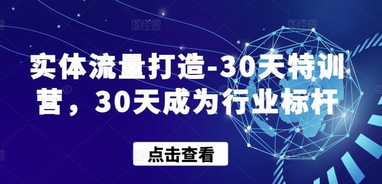 实体流量打造-30天特训营，30天成为行业标杆-数码之翼