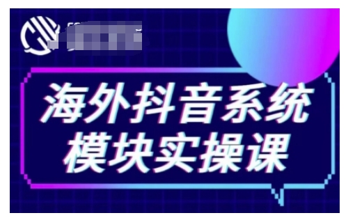 海外抖音Tiktok系统模块实操课，TK短视频带货，TK直播带货，TK小店端实操等-数码之翼