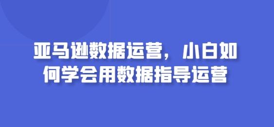 亚马逊数据运营，小白如何学会用数据指导运营-数码之翼