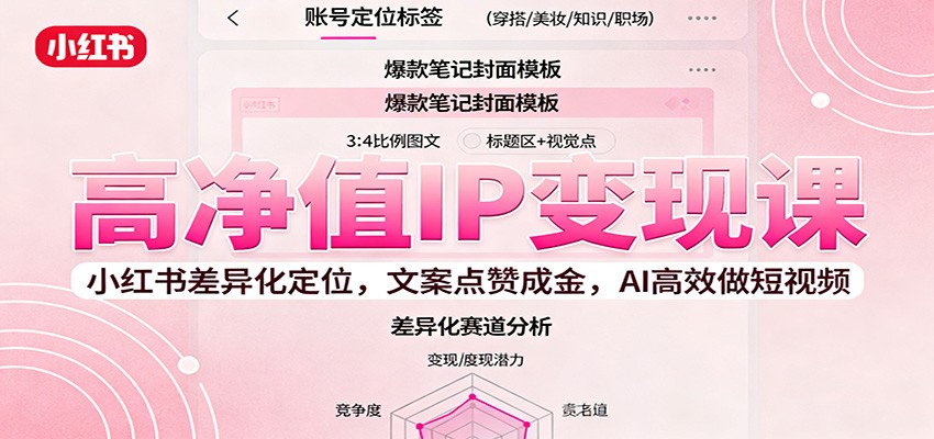 高净值IP变现课：小红书差异化定位，文案点赞成金， AI高效做短视频-数码之翼