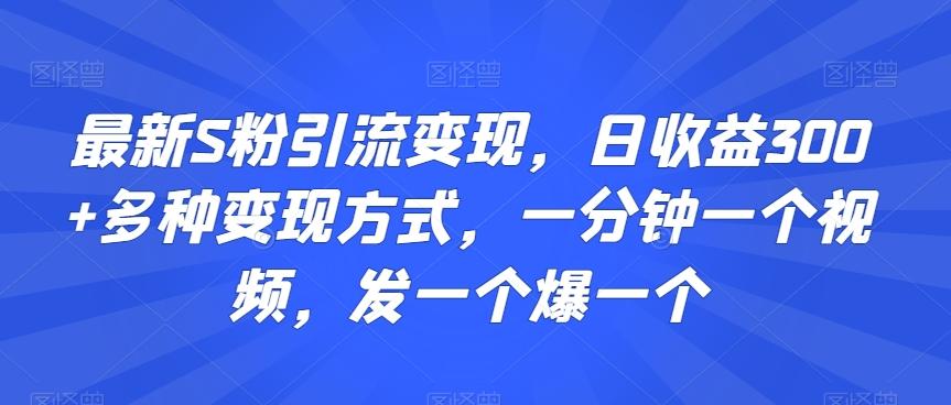 最新S粉引流变现,日收益300+多种变现方式,一分钟一个视频,发一个爆一个【揭秘】-数码之翼