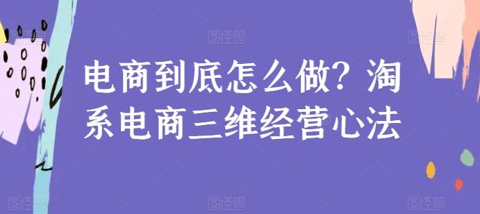 电商到底怎么做?淘系电商三维经营心法-数码之翼