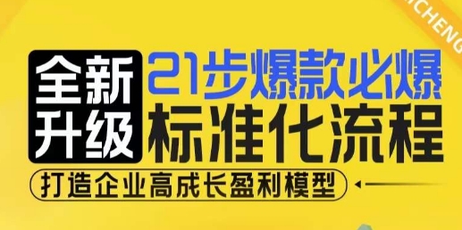 21步爆款必爆标准化流程，全新升级，打造企业高成长盈利模型-数码之翼