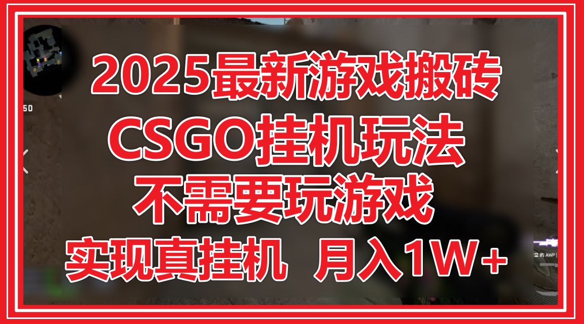 2025最新游戏搬砖，CSGO挂机，不需要玩游戏，实现真挂机，月入1W+-数码之翼