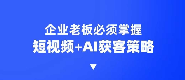 企业短视频AI获客霸屏流量课，6步短视频+AI突围法，3大霸屏抢客策略-数码之翼