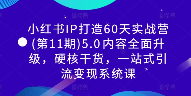 小红书IP打造60天实战营(第11期)5.0​内容全面升级，硬核干货，一站式引流变现系统课-数码之翼