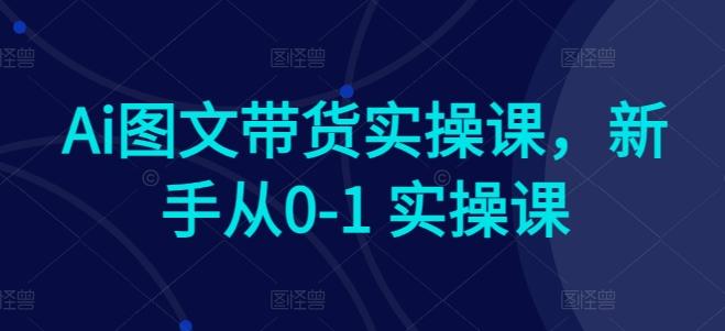 Ai图文带货实操课,新手从0-1 实操课-数码之翼