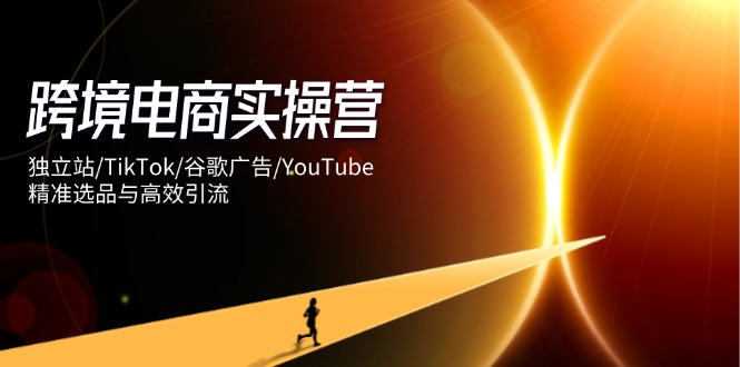 跨境电商实操营：独立站/TikTok/谷歌广告/YouTube，精准选品与高效引流-数码之翼