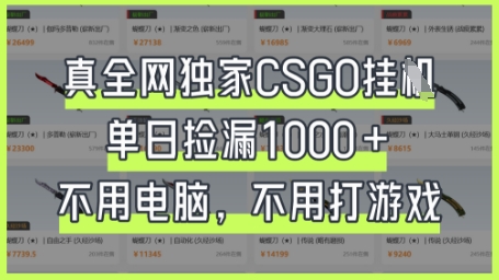 真全网独家CSGO挂G，单日捡漏1k+【揭秘】-数码之翼