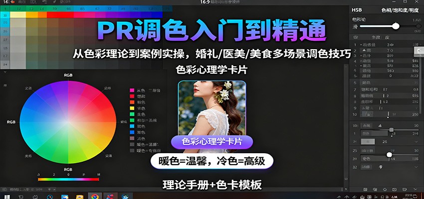 PR调色入门到精通：从色彩理论到案例实操，婚礼/医美/美食多场景调色技巧-数码之翼