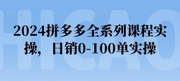 2024拼多多全系列课程实操，日销0-100单实操【必看】-数码之翼