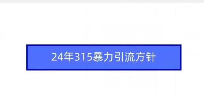 24年315暴力引流方针-数码之翼