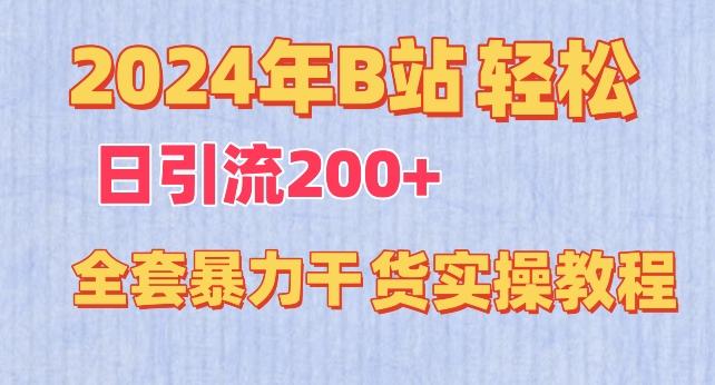 2024年B站轻松日引流200+的全套暴力干货实操教程【揭秘】-数码之翼