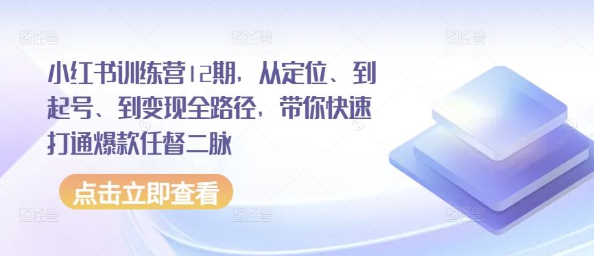 小红书训练营12期，从定位、到起号、到变现全路径，带你快速打通爆款任督二脉-数码之翼