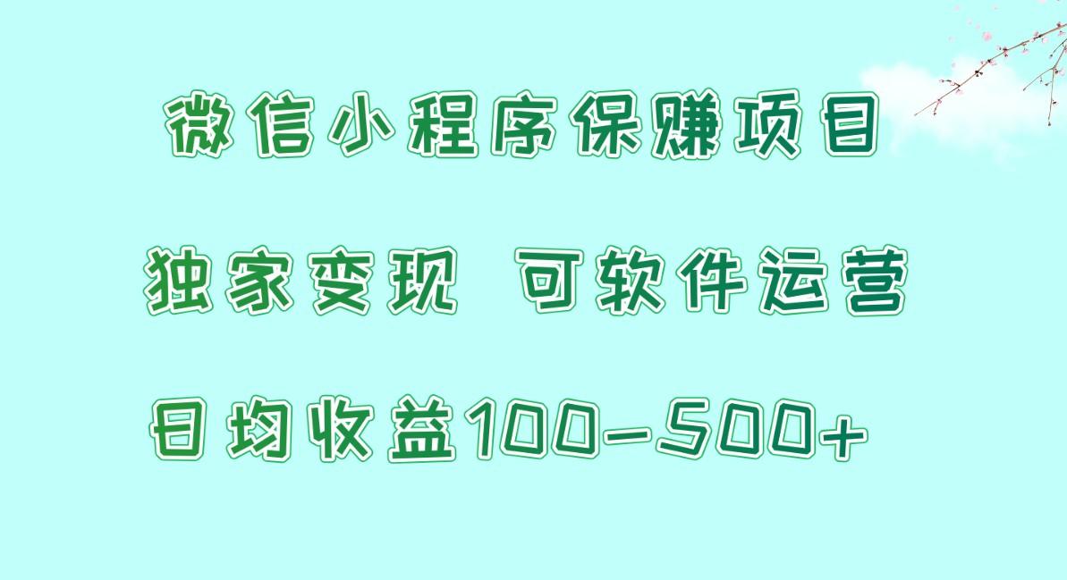 微信小程序保赚项目，日均收益100~500+，独家变现，可软件运营-数码之翼