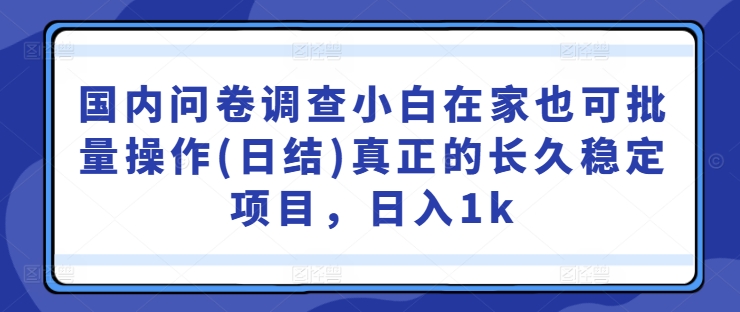 国内问卷调查小白在家也可批量操作(日结)真正的长久稳定项目,日入1k【揭秘】-数码之翼