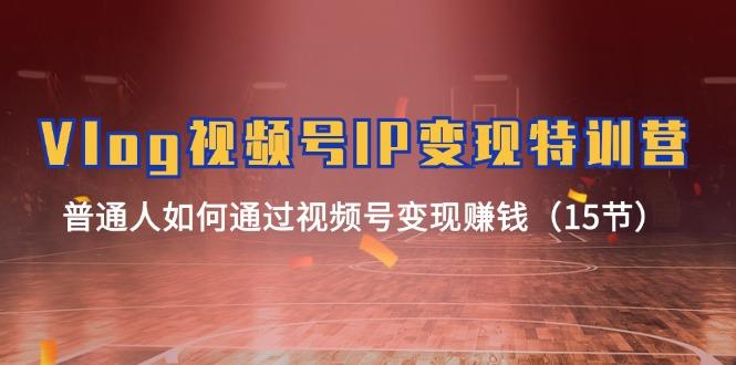 Vlog 视频号IP变现特训营，普通人如何通过视频号变现赚钱(15节-数码之翼