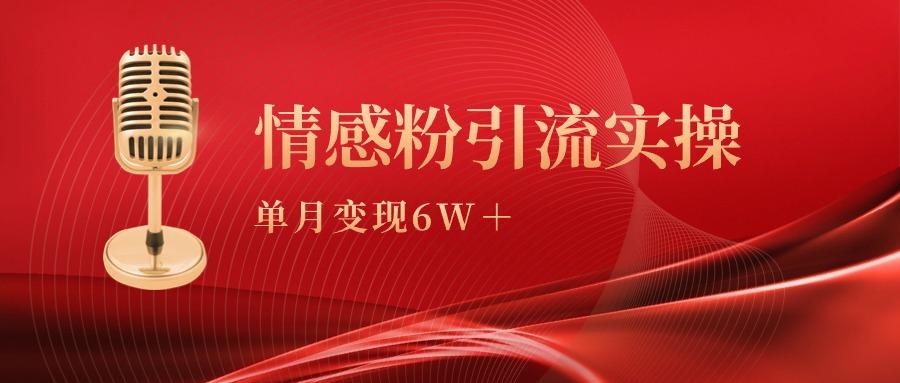 (9473期)单月变现6w+，情感粉引流变现实操课-数码之翼