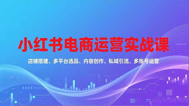小红书电商运营实战课，店铺搭建、多平台选品、内容创作、私域引流、多账号运营等玩法-数码之翼