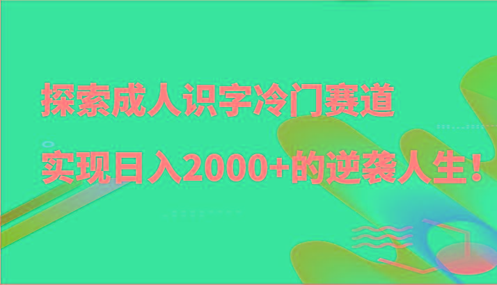探索成人识字冷门赛道，实现日入2000+的逆袭人生！-数码之翼