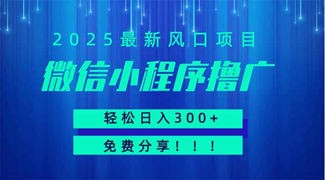 微信小程序撸广，最新风口项目，日入300+ 免费分享 可批量操作 小白可…-数码之翼