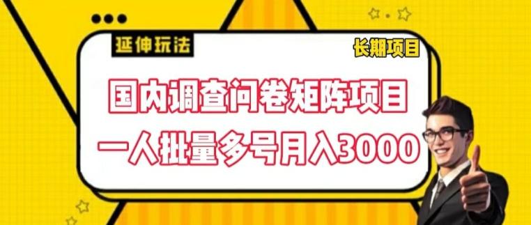 国内调查问卷矩阵项目，一人批量多号月入3000【揭秘】-数码之翼
