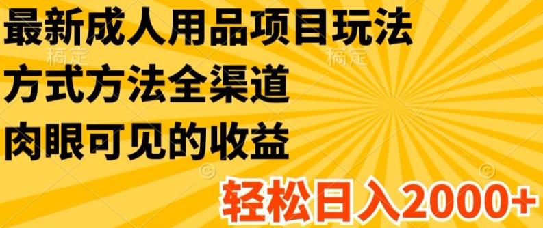 最新成人用品项目玩法，方式方法全渠道，轻松日入2K+【揭秘】-数码之翼