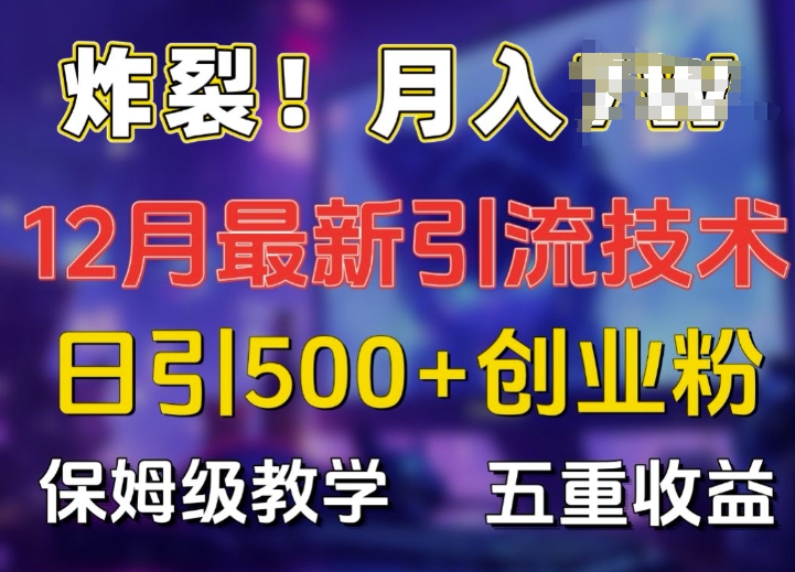 炸裂!揭秘12月最新日引流500+精准创业粉，多重收益保姆级教学-数码之翼