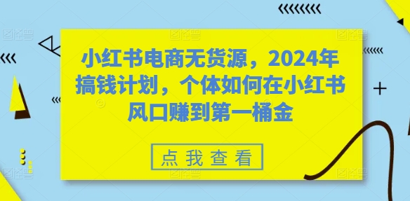 小红书电商无货源,2024年搞钱计划,个体如何在小红书风口赚到第一桶金-数码之翼