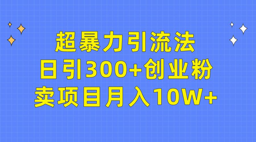 (9954期)超暴力引流法，日引300+创业粉，卖项目月入10W+-数码之翼