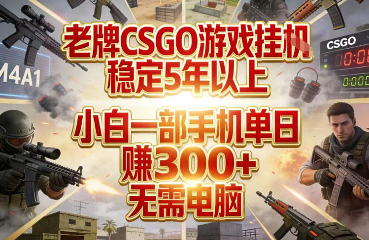 老牌CSGO游戏挂G,稳定5年以上,小白一部手机单日賺3张+,无需电脑【揭秘】-数码之翼