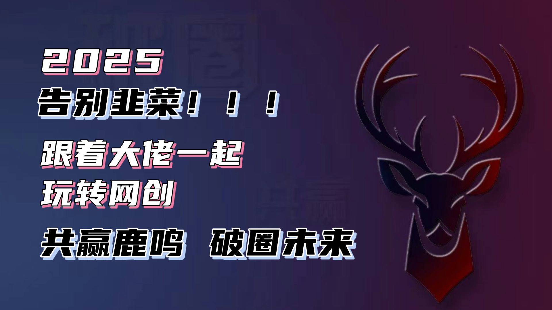 告别韭菜！2025知识付费风口项目，小白也能闭眼操作！-数码之翼